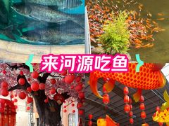 -年辉渔村