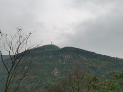 -缙云山景区