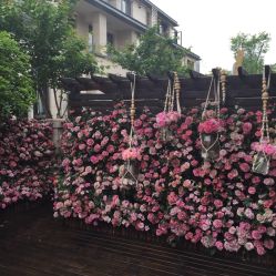-Alice Nine婚礼艺术空间(总店)