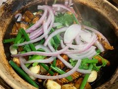 鱿鱼-老廣食堂(区庄店)