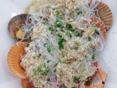 粉丝蒸扇贝-双月饭店·20年老字号(新村店)
