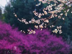 -杭州植物园