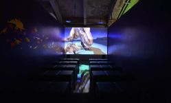 -恐龙探索乐园(磁器口店)