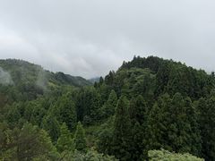 -山王坪喀斯特国家生态公园