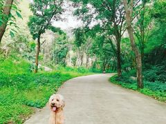 -湖洞水自然风景区