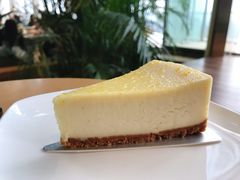 柚子芝士蛋糕-Seesaw Coffee(朝阳大悦城店)