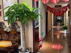 -菩提慧宾养生堂(梦幻亮点世界公园店)