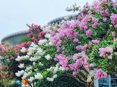 -杭州城北体育公园