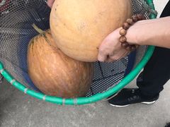 -江天生态园餐厅