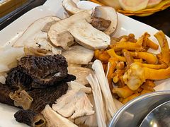 -蘑统田下·野生菌火锅