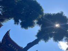 -青城山