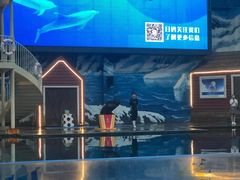 -西安曲江海洋极地公园