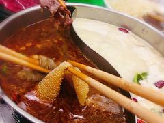 -今日炊牛·潮汕牛肉火锅(华采天地店)