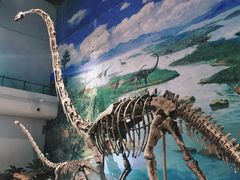 -自贡恐龙博物馆
