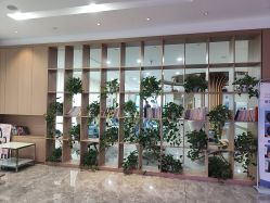 -碧莲盛·不剃发植发