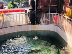 -农家小院土菜馆(斩坑桥店)