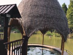 -美的鹭湖森林度假区