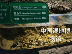 -中国湿地博物馆