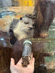 -Zoolung Zoolung动物主题公园(海信广场店)