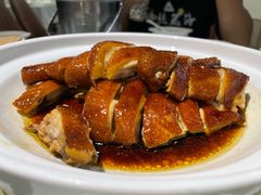 -老广酒楼(樱花店)