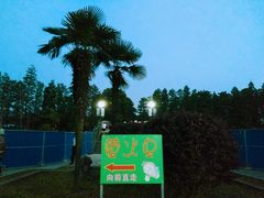 -青山公园萤火虫科普展