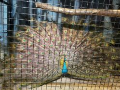 -酷嗒动物文化乐园(cutezoo西溪乐天城店)