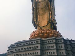 -中原大佛景区