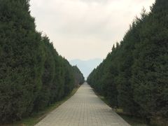 -秦始皇帝陵博物院-丽山园
