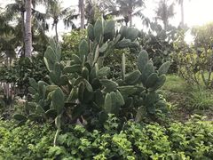 -白沙湾海滩