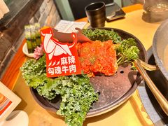 -手选潮汕鲜活牛肉火锅(二七广场店)