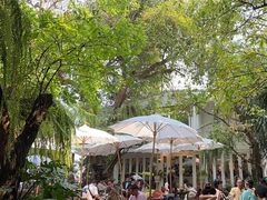 -Fern Forest Cafe