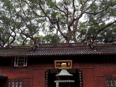 -普陀山风景名胜区-法雨禅寺