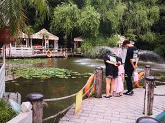 -大鹅岛绿色生态美食园
