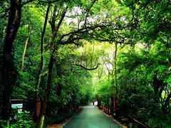 -杭州西湖风景名胜区-满觉陇四眼井