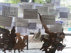 -晓港公园
