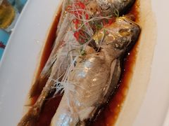 清蒸黄鱼-宝轩渔府·老字号海鲜·正宗津菜(水上店)