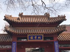 -桃花堤公园
