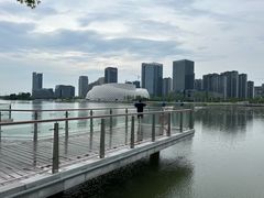 -金沙湖公园