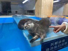 -大连圣亚海洋世界