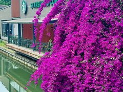 -星巴克(成都天府水街店)