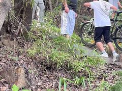 -杭州半山国家森林公园