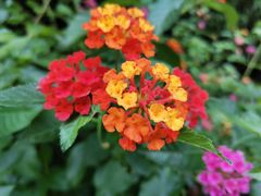 -苏州河梦清园环保主题公园