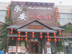-永安水煮活鱼·仪征淮扬菜