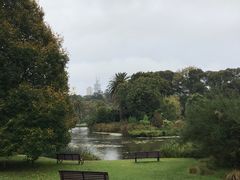 -墨尔本皇家植物园