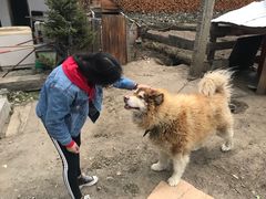 -鲁朗纳麦石锅鸡庄园