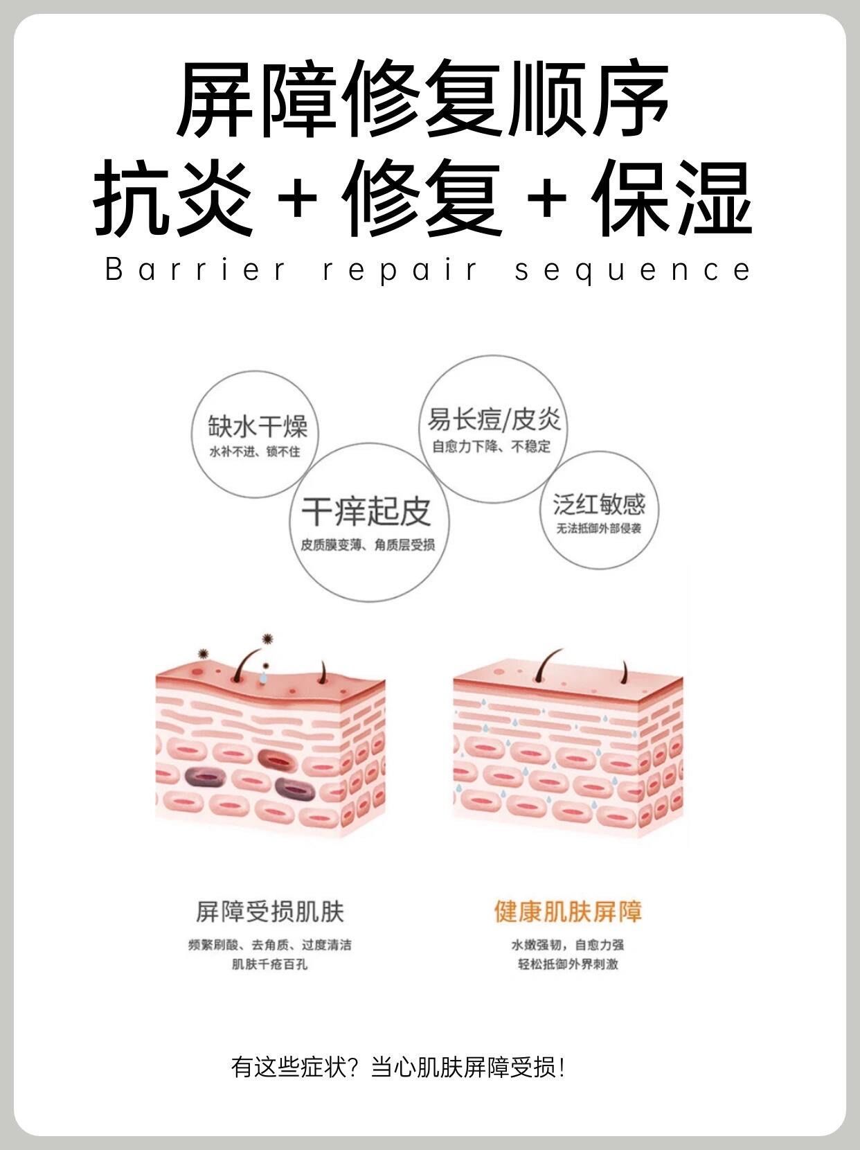 皮肤屏障受损修复指南