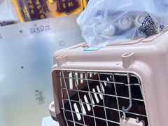 -萌兽医馆·宠物医院·猫骨科(创景店)