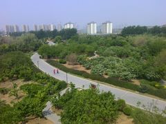 园区道路-孙子文化园