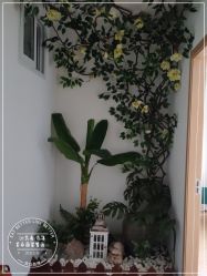 -丹漪·DANYI 美肤中心