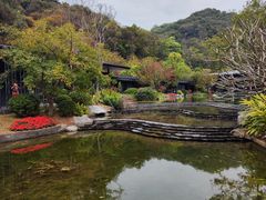 -云溪植物园